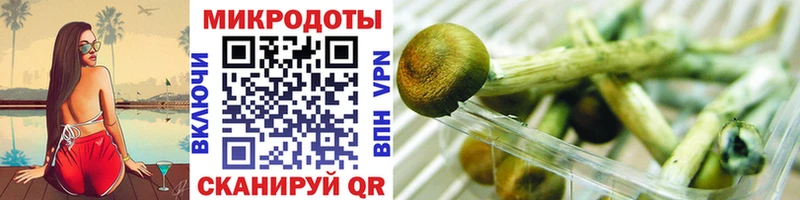 Купить где  Дубовка  Галлюциногенные грибы MAGIC MUSHROOMS 